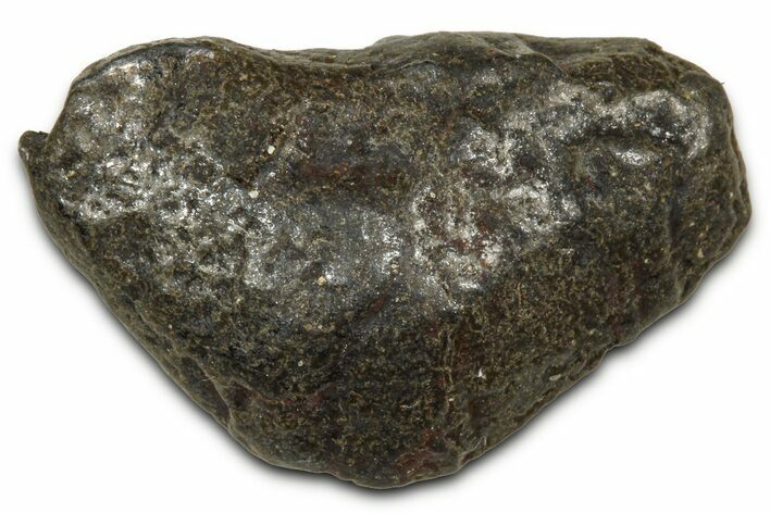 Gibeon Iron Meteorite ( g) - Namibia #378740